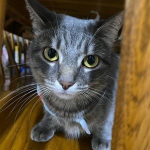 Meet your Posher, Zoe